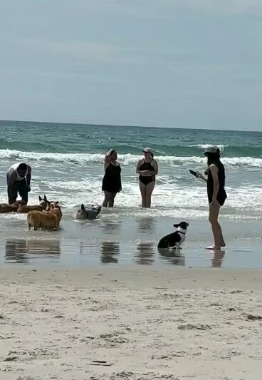 Public Beach Access #0-9 at Davis Ave - Holly Ridge, NC
