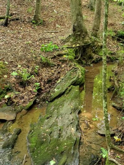 J. B. Owens Park - Holly Springs, GA