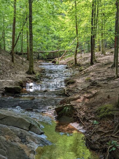 J. B. Owens Park - Holly Springs, GA