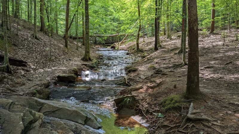 J. B. Owens Park - Holly Springs, GA