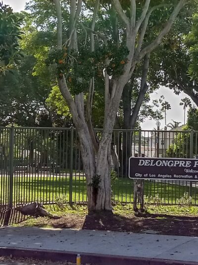 De Longpre Park - Hollywood, CA