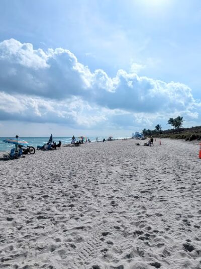 Dania Dog Beach - Hollywood, FL