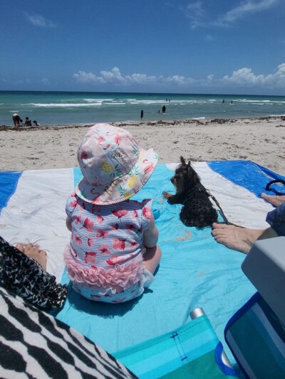 Hollywood Dog Beach - Hollywood, FL