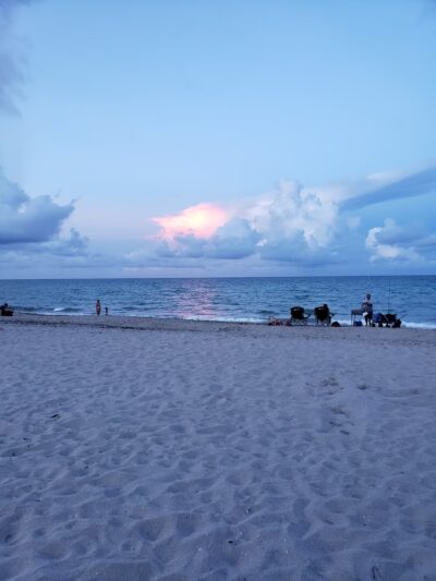 Hollywood Dog Beach - Hollywood, FL