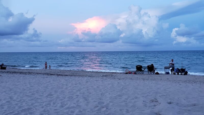Hollywood Dog Beach - Hollywood, FL