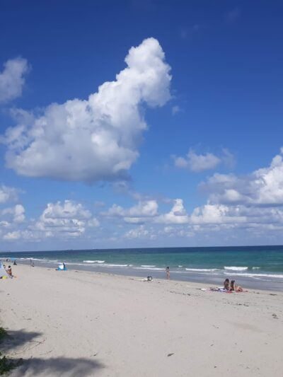 Hollywood Dog Beach - Hollywood, FL