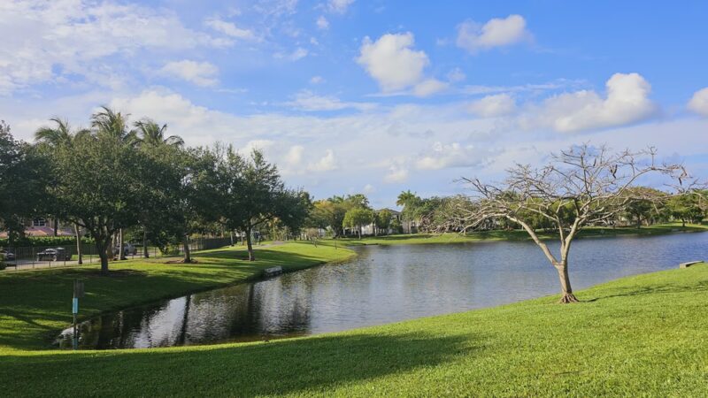 Joe DiMaggio Park - Hollywood, FL