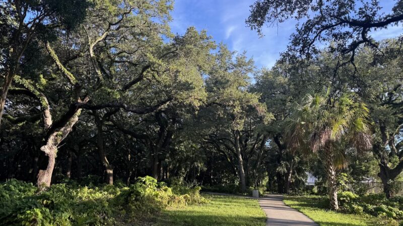 John Williams Park - Hollywood, FL