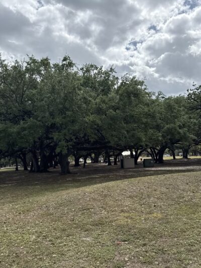 TY Park - Hollywood, FL