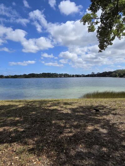 TY Park - Hollywood, FL