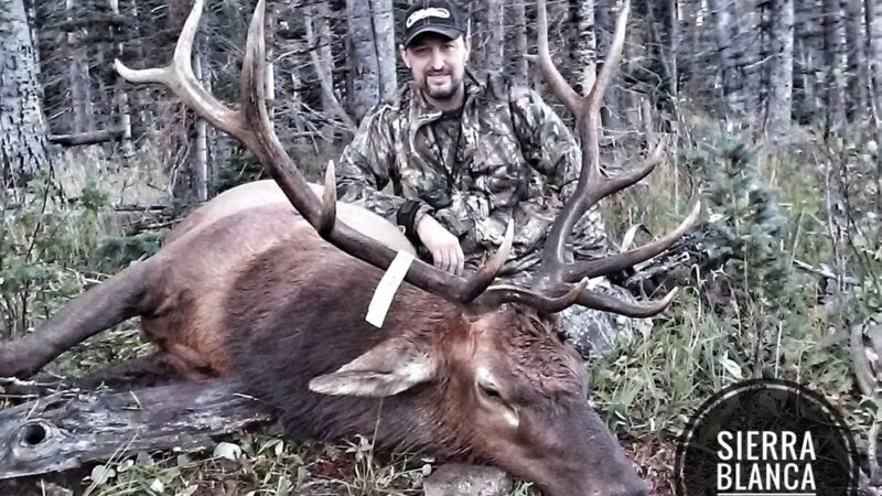 Sierra Blanca Outfitters - Holman, NM