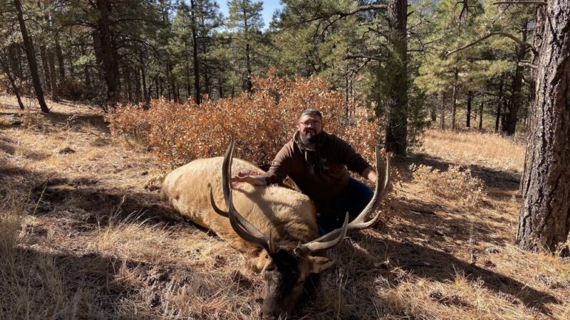 Sierra Blanca Outfitters - Holman, NM