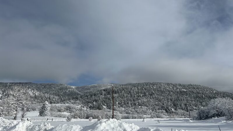 Sierra Blanca Outfitters - Holman, NM