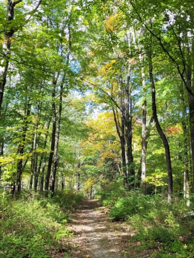 Wonder Lake State Park - Holmes, NY