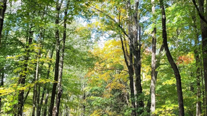 Wonder Lake State Park - Holmes, NY