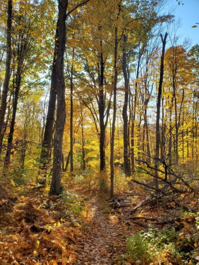 Wonder Lake State Park - Holmes, NY