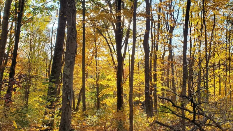Wonder Lake State Park - Holmes, NY