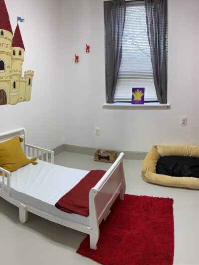 House of Dog Retreat & Spa, LLC - Holmes, PA