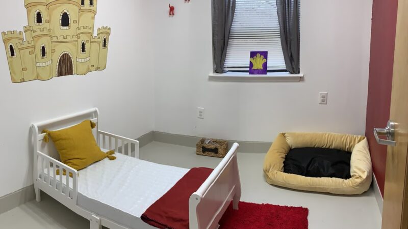 House of Dog Retreat & Spa, LLC - Holmes, PA