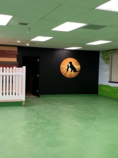House of Dog Retreat & Spa, LLC - Holmes, PA