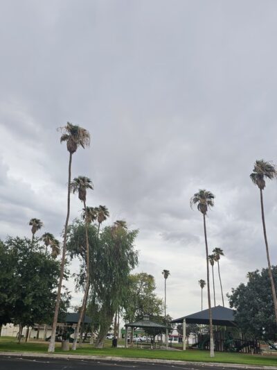 Holt Park - Holtville, CA