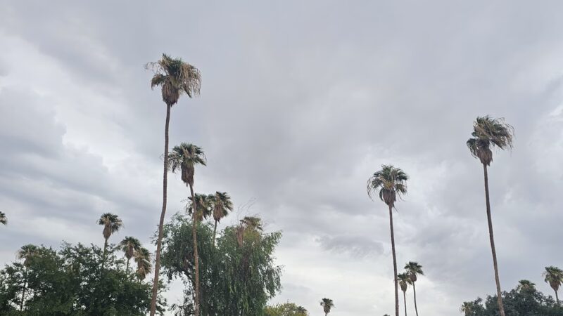 Holt Park - Holtville, CA
