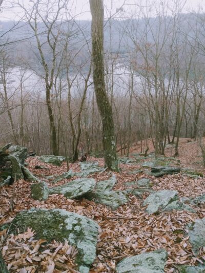 Fire Trails - Holtwood, PA