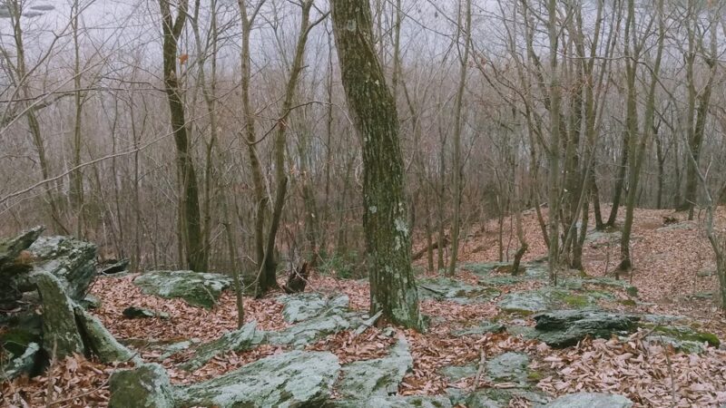 Fire Trails - Holtwood, PA