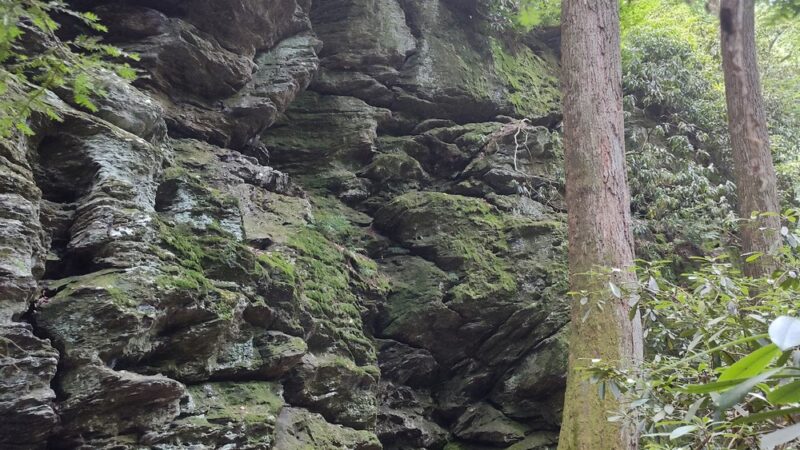 Holtwood Trail - Holtwood, PA