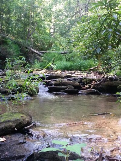 Kellys Run Nature Preserve - Holtwood, PA