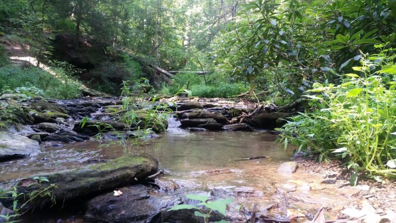 Kellys Run Nature Preserve - Holtwood, PA
