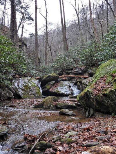 Kellys Run Nature Preserve - Holtwood, PA