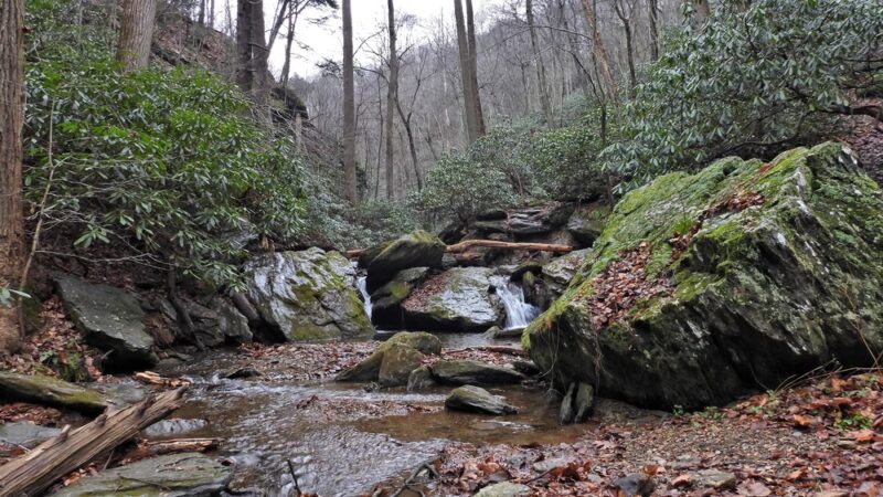 Kellys Run Nature Preserve - Holtwood, PA