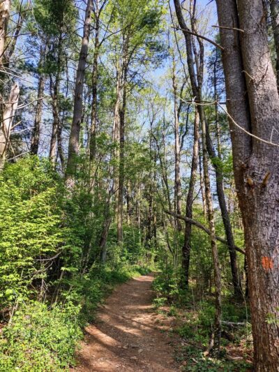 Kellys Run Nature Preserve - Holtwood, PA