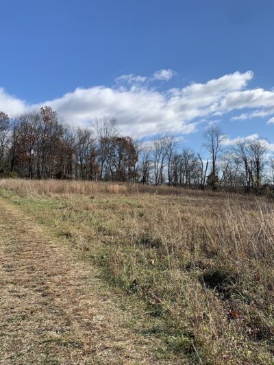 Kellys Run Nature Preserve - Holtwood, PA