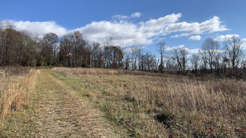 Kellys Run Nature Preserve - Holtwood, PA