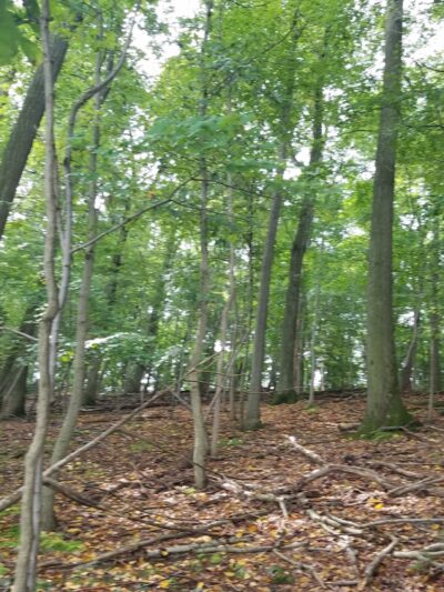 Muddy Run, Hiking Trail - Holtwood, PA