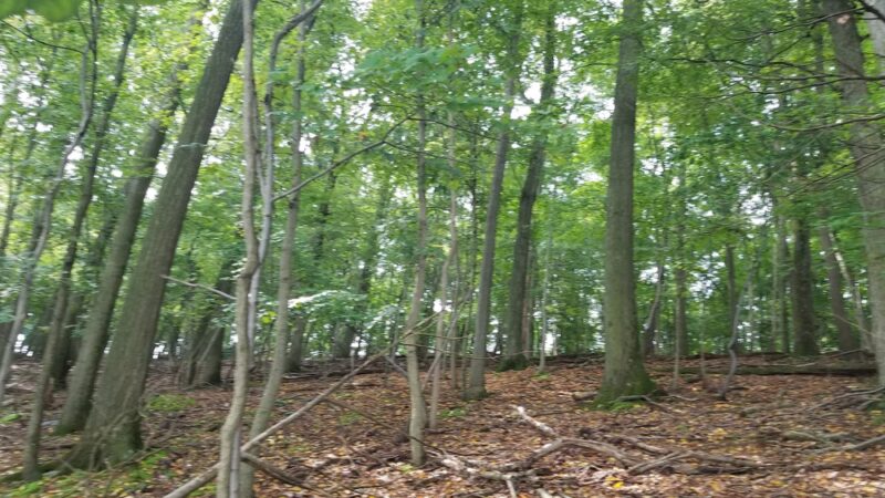 Muddy Run, Hiking Trail - Holtwood, PA