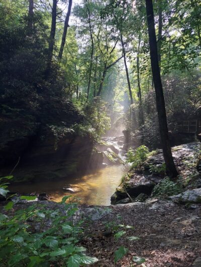 Tucquan Glen & Pyfer Nature Preserves - Holtwood, PA