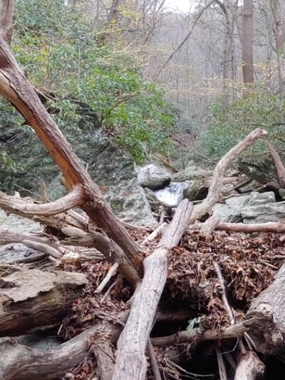 Tucquan Glen & Pyfer Nature Preserves - Holtwood, PA