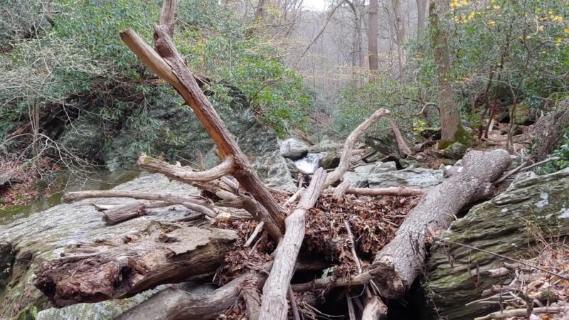 Tucquan Glen & Pyfer Nature Preserves - Holtwood, PA