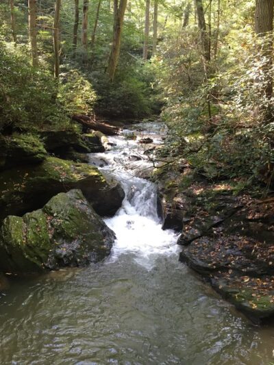 Tucquan Glen & Pyfer Nature Preserves - Holtwood, PA
