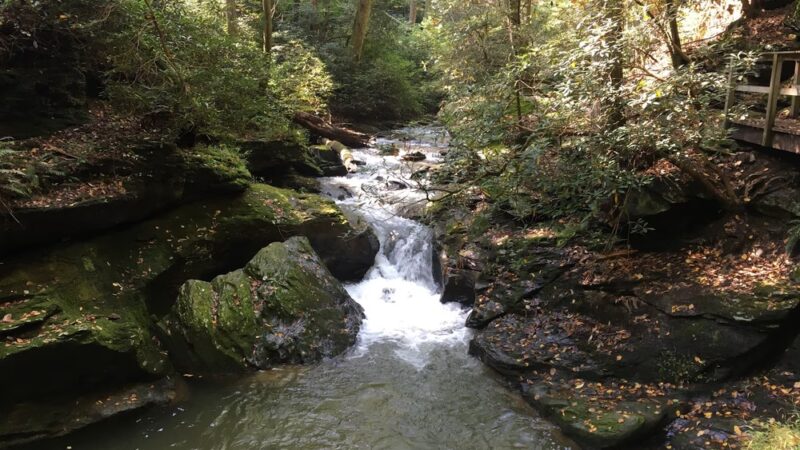 Tucquan Glen & Pyfer Nature Preserves - Holtwood, PA