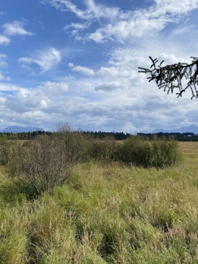 Calvin & Coyle Nature Trail - Homer, AK