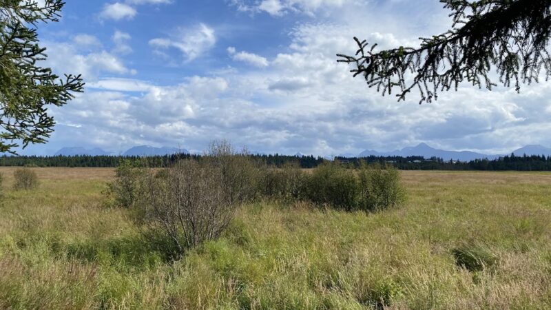 Calvin & Coyle Nature Trail - Homer, AK