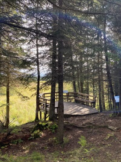 Calvin & Coyle Nature Trail - Homer, AK