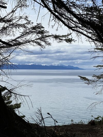Diamond Creek Trailhead - Homer, AK
