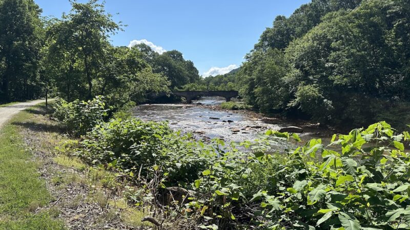 Ghost Town Trail/Hoodlebug Trail - Black Lick Trailhead - Homer City, PA