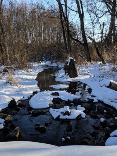 Messenger Marsh - Homer Glen, IL