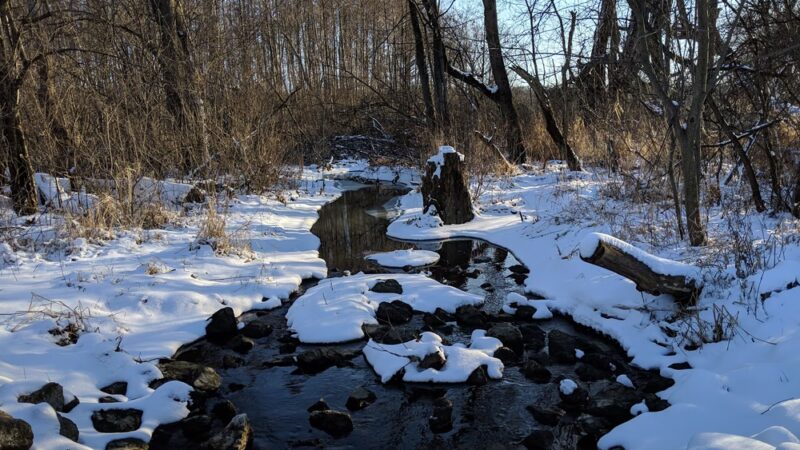 Messenger Marsh - Homer Glen, IL